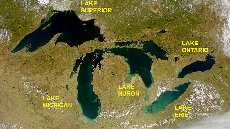 Great Lakes Biological Indices of Integrity – Avian Ecologist